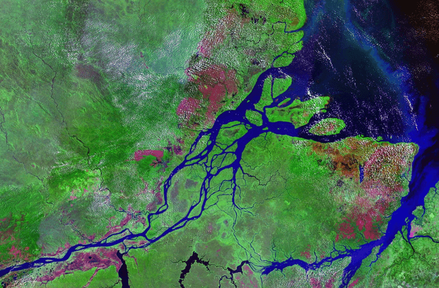 Satellite image of the mouth of the Amazon River in Brazil with Marajó Archipelago in the center, the city of Macapá on the left and the town of Belém on the right (in red).