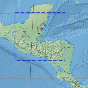 Map depicting the location of the Belizian pine forests ecoregion (in purple).