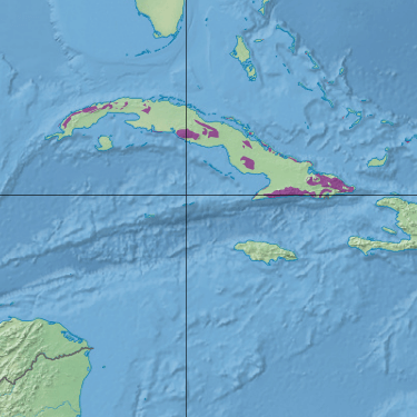 Map depicting the location of the Cuban Pine Forests (in purple).