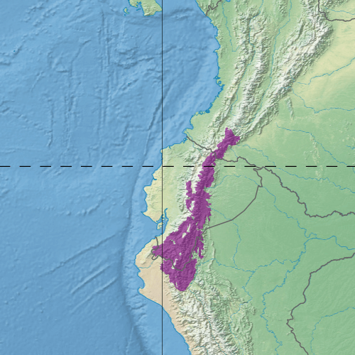 Map depicting the location of the Eastern Cordillera Real Montane Forests ecoregion (in purple).