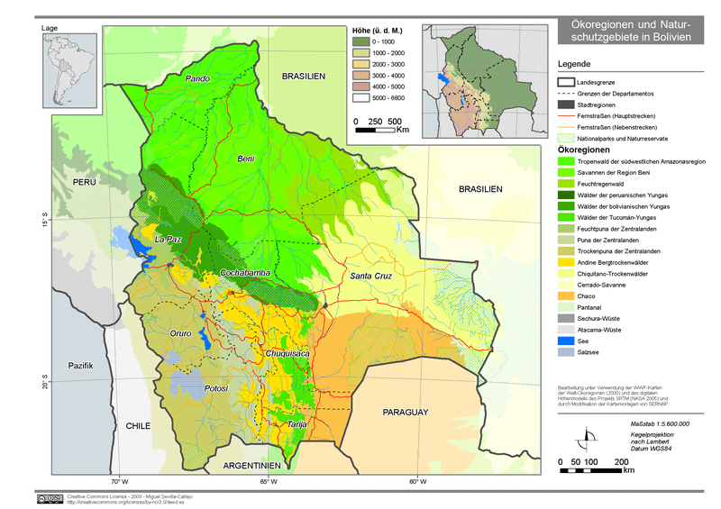 Map of Bolivia's ecoregions. The Beni savanna is shown in bright green.