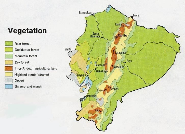 Vegetation map of Ecuador