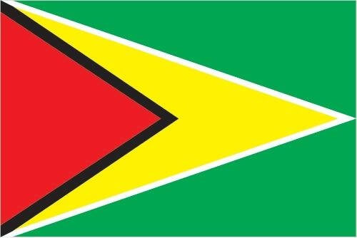 Official flag of Guyana