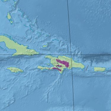 Location map of the Hispaniolan pine forests (in purple)