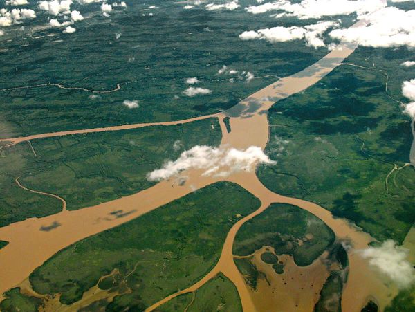 Aerial view of Lower Paraná Delta