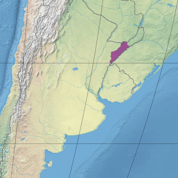 Map depicting the Southern Cone Mesopotamian savanna (in purple).