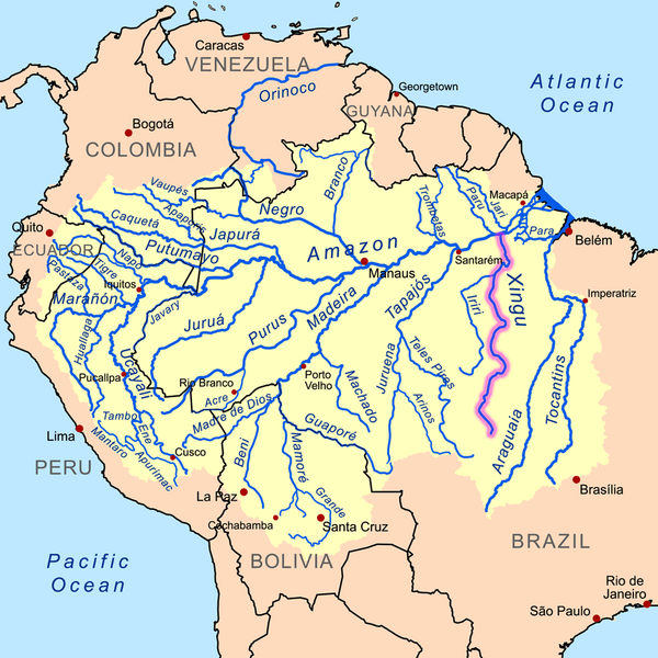 Map of the Amazon River drainage basin with the Xingu River highlighted.