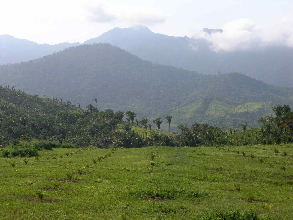 Honduras Natural Landscape LAC Geo