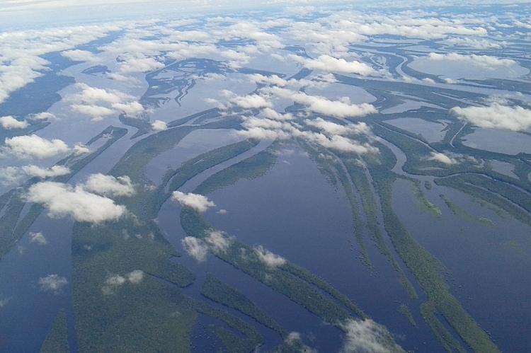 Aerial view of the Río Negro and the Anavilhanas Archipelago, Brazil