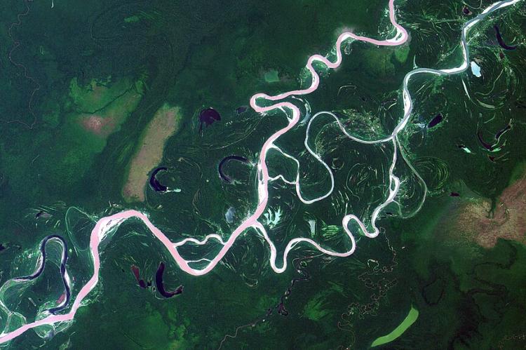 Ucayali River lowlands in Loreto, Perú