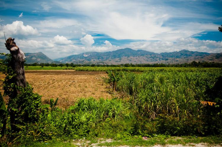 Fields outside Port-au-Prince, Haiti