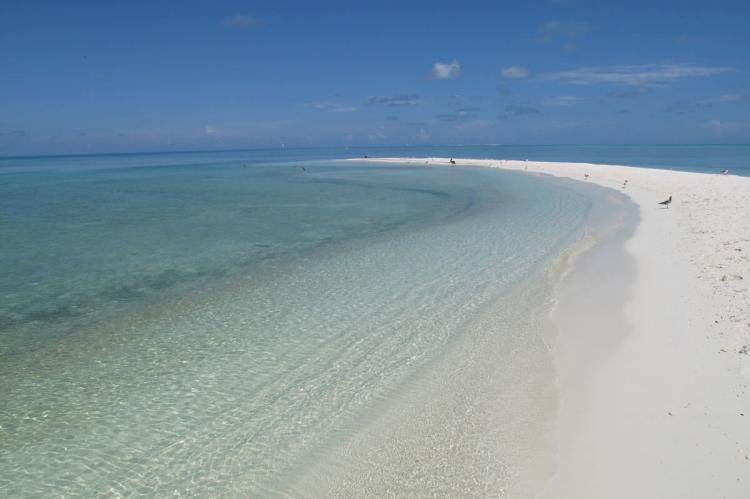 Alacranes Reef, Yucatán,  Mexico 