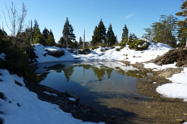 Snow scene, Alerce Costero National Park, Chile