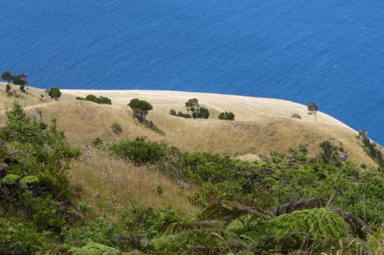 Alexander Selkirk Island, Archipiélago de Juan Fernández (Chile)