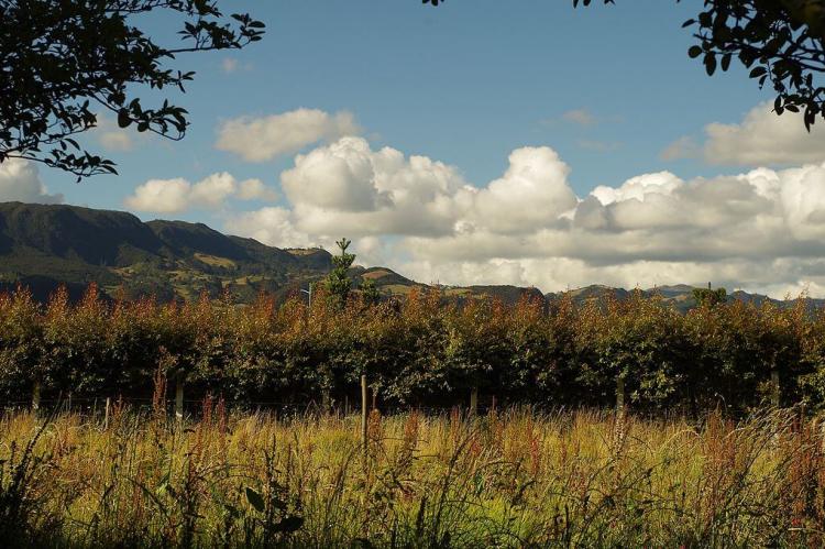 Altiplano Cundiboyacense landscape, Cundinamarca, Colombia