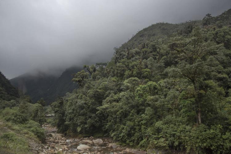 Alto Mayo Protection Forest, Peru
