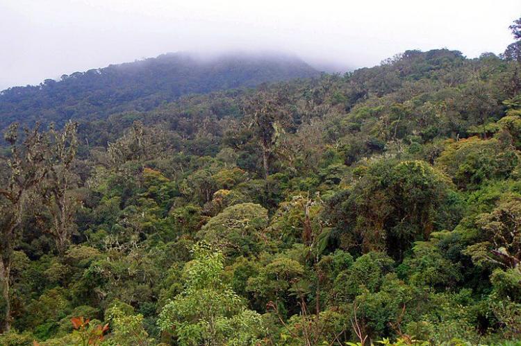 Amboró National Park, Santa Cruz, Bolivia