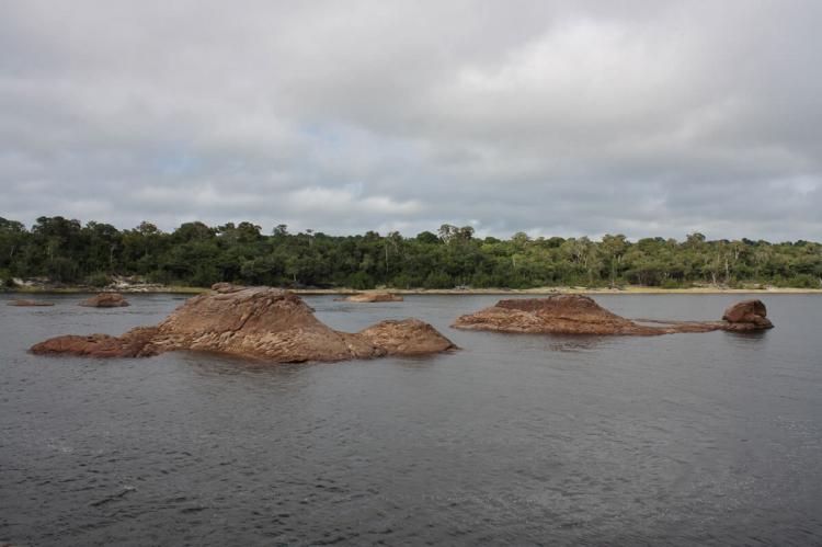 Anavilhanas archipelago (Brazil)