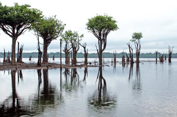 Anavilhanas National Park, Rio Negro, Amazonas, Brazil