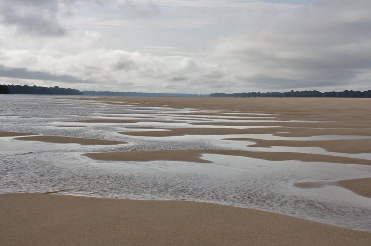Panorama, Anavilhanas National Park, Amazonas, Brazil