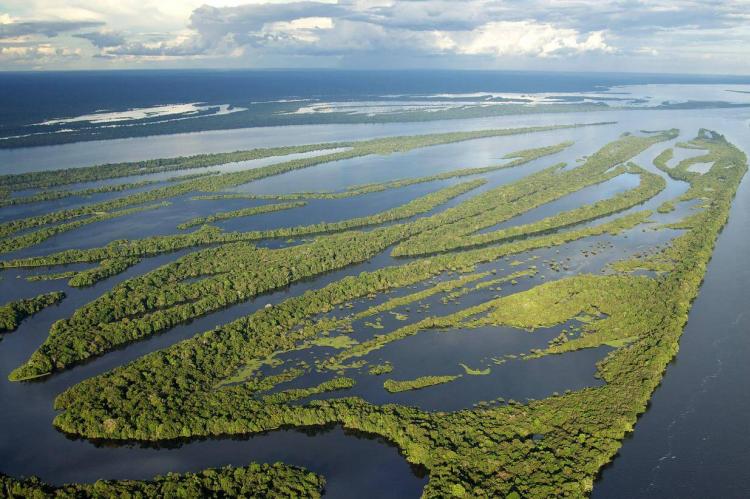 Aerial view of Rio Negro, Anavilhanas Archipelago, Brazil