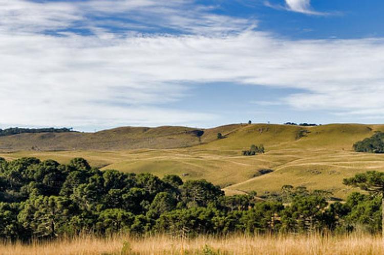 Panorama of Aparados da Serra National Park, Brazil