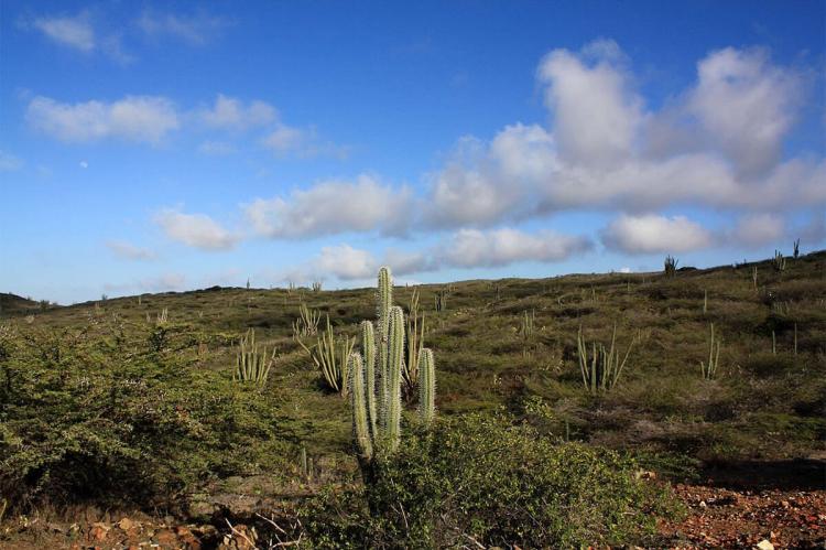 Arikok National Park, Aruba
