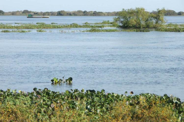 Arroyo Ñeembucú, as it passes through the city of Pilar, Paraguay