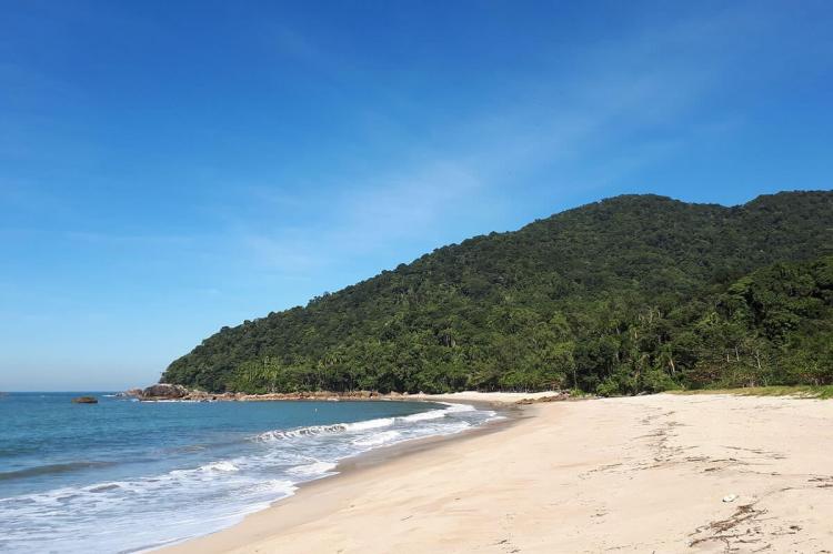 Beach on Atlantic Forest coast (Brazil)