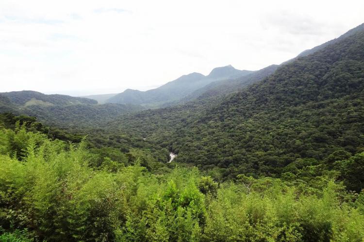 Atlantic Forest, Brazil