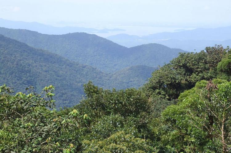 Antonina Bay as viewed from the Serra do Mar Paranaense (Brazil)