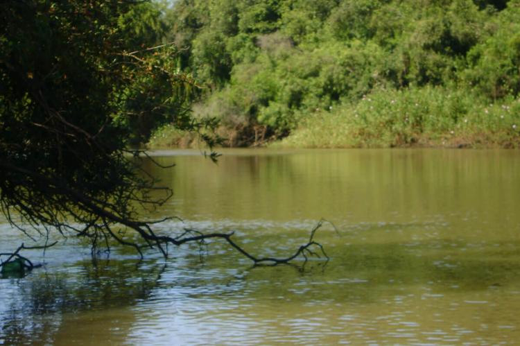 Bañados del Uruguay