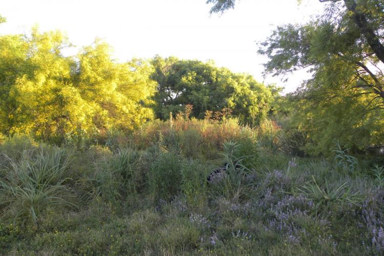 Bañados del Uruguay