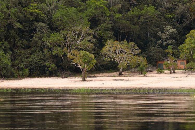 Banks of the Río Negro near Manaus, Brazil