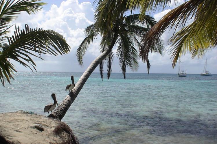 Coast of Belize