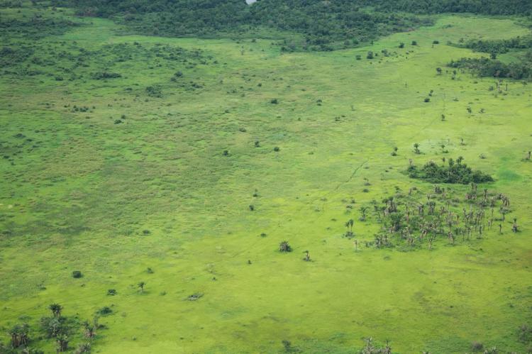Beni Savanna panorama, Bolivia