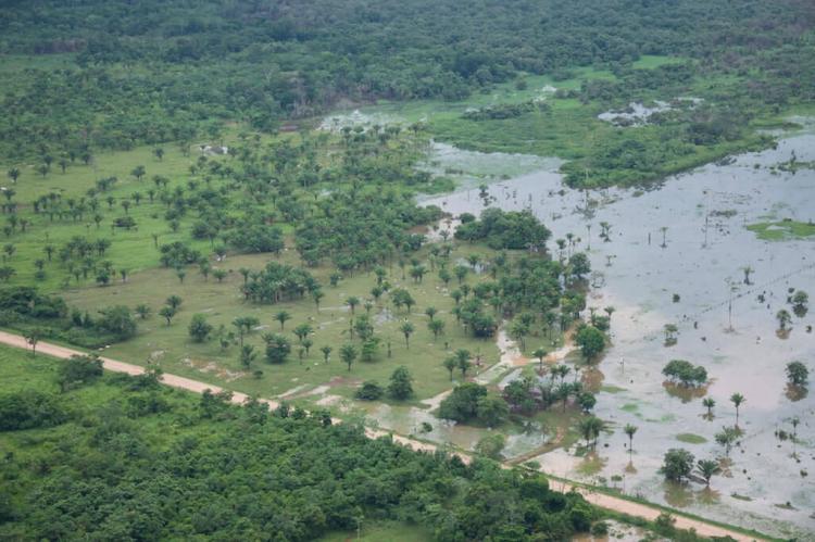 Beni landscape, Bolivia