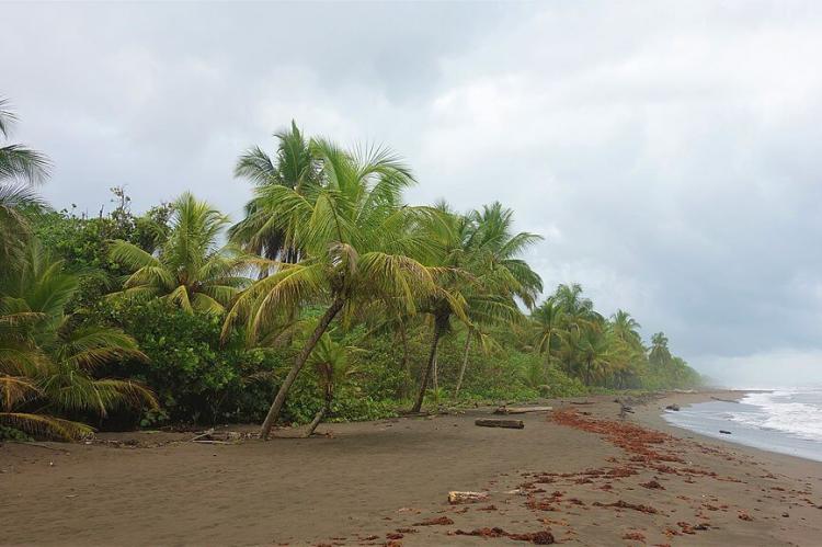 Black sand beach - Tortuguero - Costa Rica