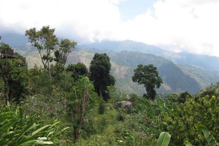 Blue Mountains, Jamaica
