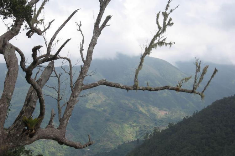 View of the Blue Mountain Range, Jamaica