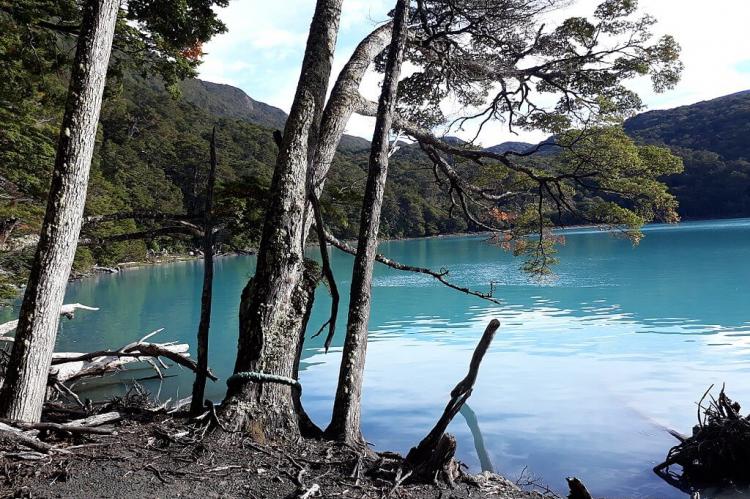 Bosque Andino Patagónico: Parque Nacional los Glaciares, Argentina