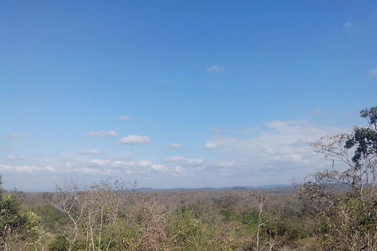 Equatorial dry forest, Ecuador
