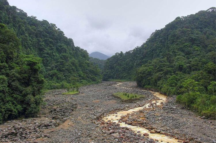 Braulio Carrillo National Park, Costa Rica