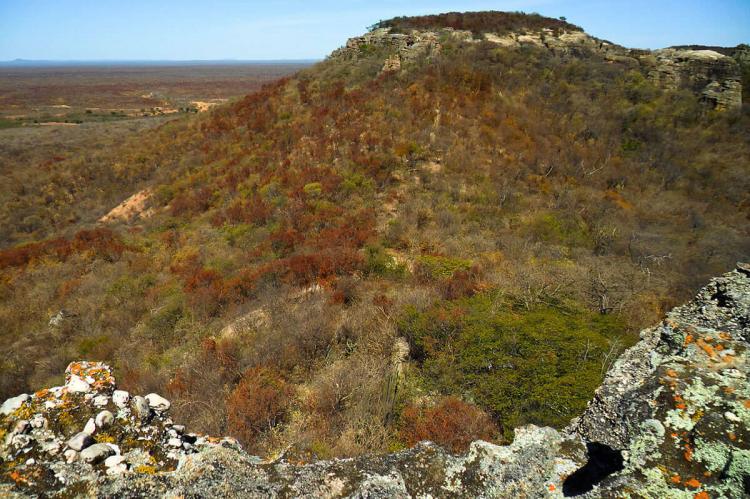 Caatinga landscape, Brazil