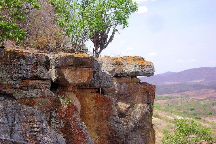 Caatinga landscape, Brazil