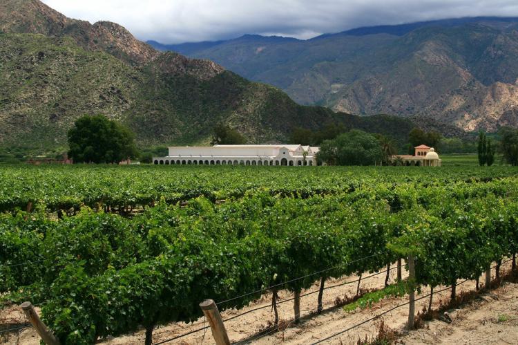 Cafayate Winery, Salta Province, Argentina