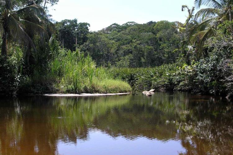 Cahuita National Park, Costa Rica