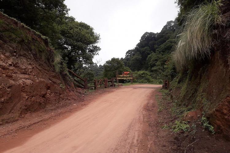 Border of the Calilegua National Park, Jujuy Province, Argentina