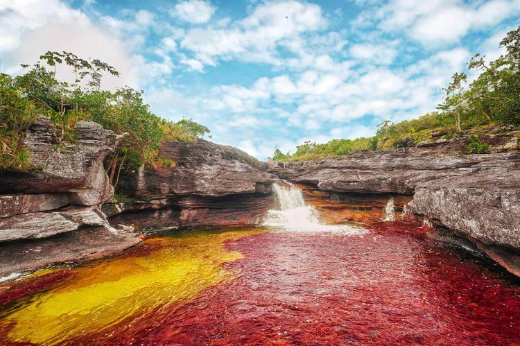  Caño Cristales, Serrania de la Macarena, Colombia