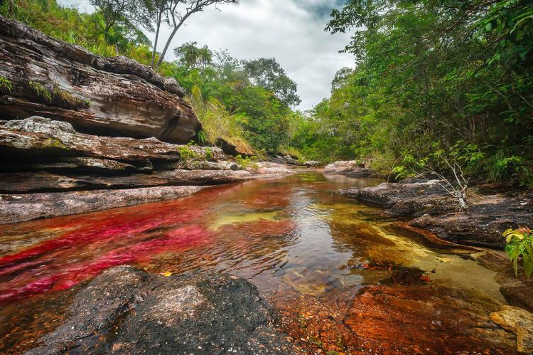  Caño Cristales, Serrania de la Macarena, Colombia